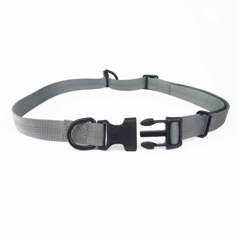 Pet leash / collar
