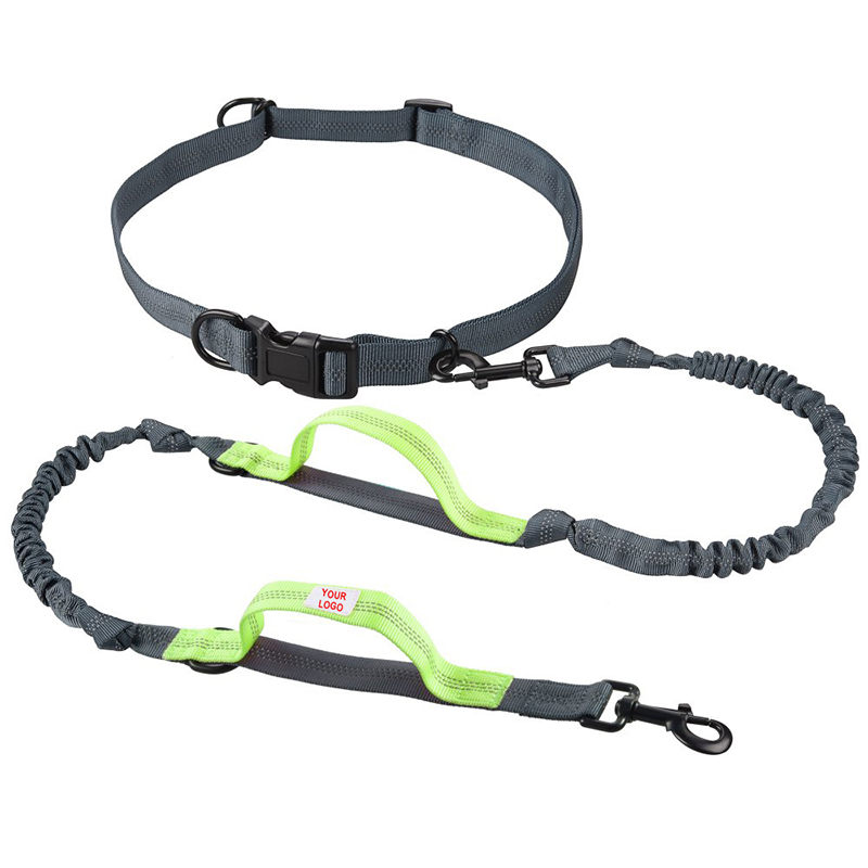 Pet leash / collar